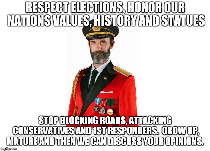 Captain Obvious | RESPECT ELECTIONS, HONOR OUR NATIONS VALUES, HISTORY AND STATUES; STOP BLOCKING ROADS, ATTACKING CONSERVATIVES AND 1ST RESPONDERS.  GROW UP, MATURE AND THEN WE CAN DISCUSS YOUR OPINIONS. | image tagged in captain obvious | made w/ Imgflip meme maker