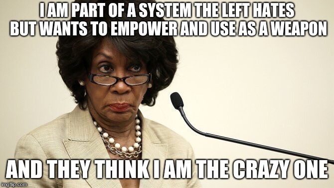 Maxine Waters Crazy | I AM PART OF A SYSTEM THE LEFT HATES BUT WANTS TO EMPOWER AND USE AS A WEAPON; AND THEY THINK I AM THE CRAZY ONE | image tagged in maxine waters crazy | made w/ Imgflip meme maker