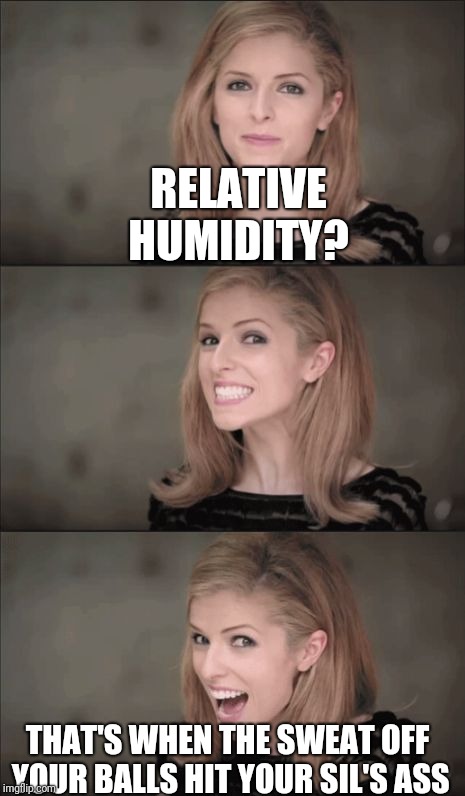 Bad Pun Anna Kendrick Meme | RELATIVE HUMIDITY? THAT'S WHEN THE SWEAT OFF YOUR BALLS HIT YOUR SIL'S ASS | image tagged in memes,bad pun anna kendrick | made w/ Imgflip meme maker