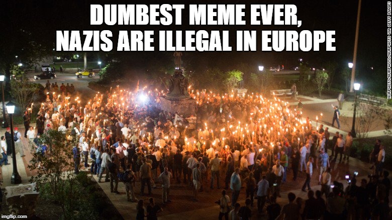 Too many Nazis | DUMBEST MEME EVER, NAZIS ARE ILLEGAL IN EUROPE | image tagged in too many nazis | made w/ Imgflip meme maker