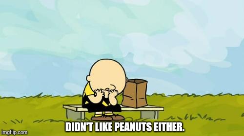 Depressed Charlie Brown | DIDN'T LIKE PEANUTS EITHER. | image tagged in depressed charlie brown | made w/ Imgflip meme maker