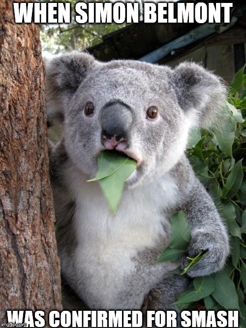 Surprised Koala |  WHEN SIMON BELMONT; WAS CONFIRMED FOR SMASH | image tagged in memes,surprised koala | made w/ Imgflip meme maker