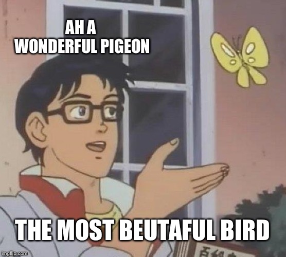 Is This A Pigeon Meme | AH A WONDERFUL PIGEON; THE MOST BEUTAFUL BIRD | image tagged in memes,is this a pigeon | made w/ Imgflip meme maker