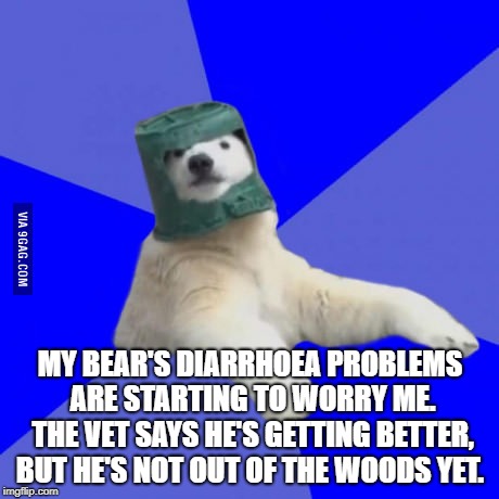 Poorly prepared polar bear | MY BEAR'S DIARRHOEA PROBLEMS ARE STARTING TO WORRY ME. THE VET SAYS HE'S GETTING BETTER, BUT HE'S NOT OUT OF THE WOODS YET. | image tagged in poorly prepared polar bear | made w/ Imgflip meme maker
