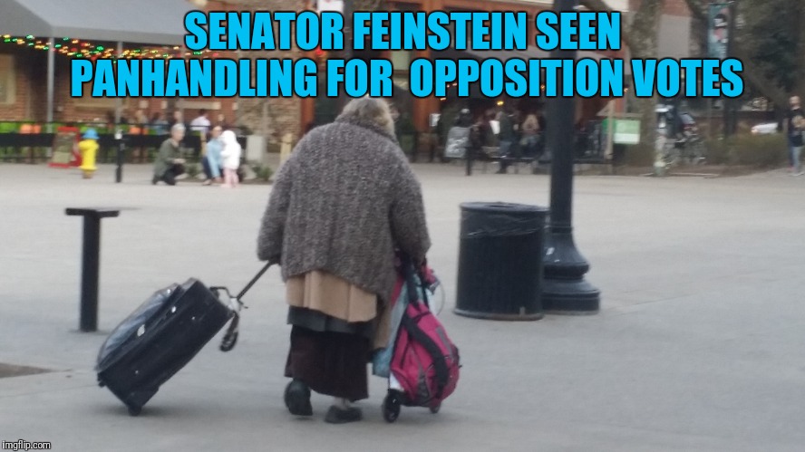 Senator Feinstein | SENATOR FEINSTEIN SEEN PANHANDLING FOR 
OPPOSITION VOTES | image tagged in isupportkavanaugh maga | made w/ Imgflip meme maker