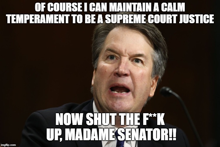 OF COURSE I CAN MAINTAIN A CALM TEMPERAMENT TO BE A SUPREME COURT JUSTICE; NOW SHUT THE F**K UP, MADAME SENATOR!! | image tagged in brett kavanaugh,anger management | made w/ Imgflip meme maker