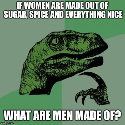 Philosoraptor Meme | IF WOMEN ARE MADE OUT OF SUGAR, SPICE AND EVERYTHING NICE; WHAT ARE MEN MADE OF? | image tagged in memes,philosoraptor | made w/ Imgflip meme maker