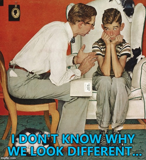 At least that wall looks better... :) | I DON'T KNOW WHY WE LOOK DIFFERENT... | image tagged in norman rockwell,memes,the problem is,same difference | made w/ Imgflip meme maker