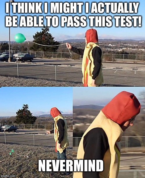 Sad Hotdog | I THINK I MIGHT I ACTUALLY BE ABLE TO PASS THIS TEST! NEVERMIND | image tagged in sad hotdog | made w/ Imgflip meme maker