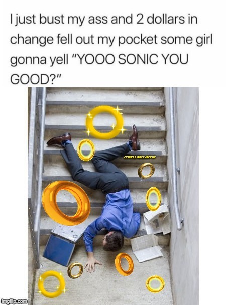 image tagged in sonic fall | made w/ Imgflip meme maker