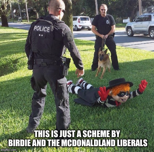 THIS IS JUST A SCHEME BY BIRDIE AND THE MCDONALDLAND LIBERALS | made w/ Imgflip meme maker