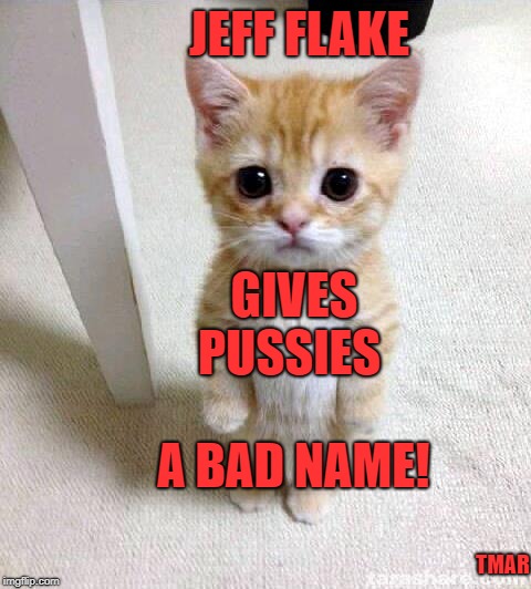 Cute Cat Meme | JEFF FLAKE; GIVES PUSSIES; A BAD NAME! TMAR | image tagged in memes,cute cat | made w/ Imgflip meme maker