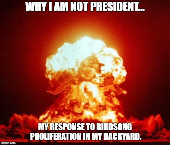 Nuclear Explosion  | WHY I AM NOT PRESIDENT... MY RESPONSE TO BIRDSONG PROLIFERATION IN MY BACKYARD. | image tagged in nuclear explosion | made w/ Imgflip meme maker