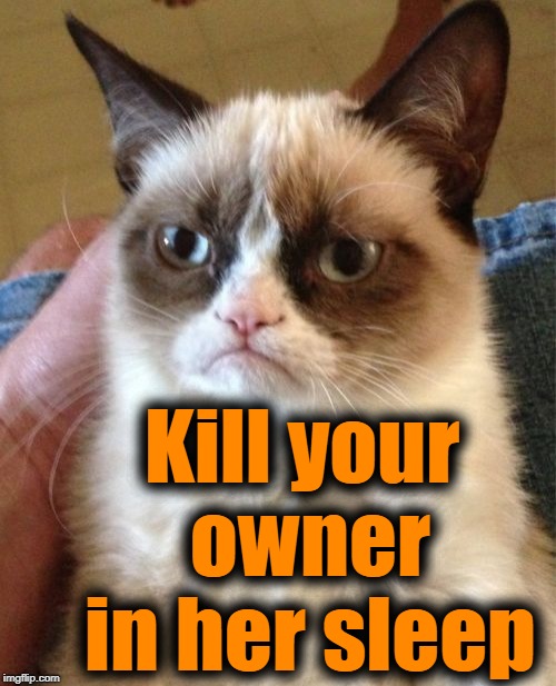 Grumpy Cat Meme | Kill your owner in her sleep | image tagged in memes,grumpy cat | made w/ Imgflip meme maker