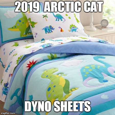 Dyno | 2019  ARCTIC CAT; DYNO SHEETS | image tagged in dyno | made w/ Imgflip meme maker