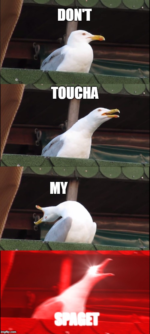 Don't toucha my spaget | DON'T; TOUCHA; MY; SPAGET | image tagged in memes,inhaling seagull | made w/ Imgflip meme maker