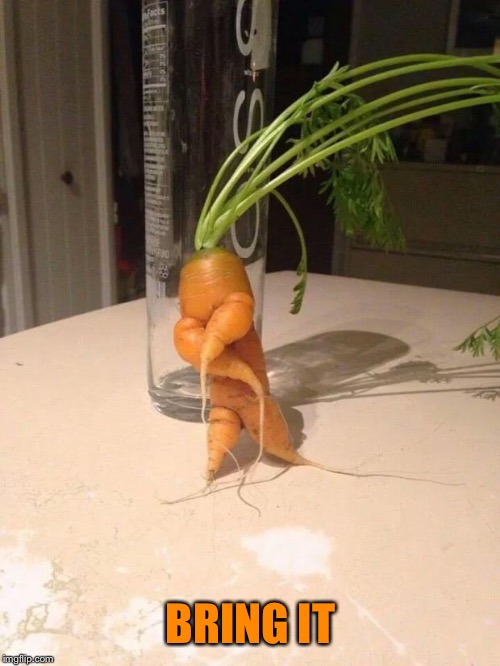 gangster carrot | BRING IT | image tagged in gangster carrot | made w/ Imgflip meme maker