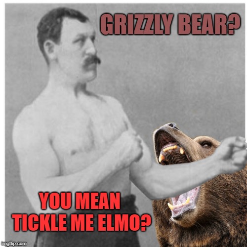 That tickles  | GRIZZLY BEAR? YOU MEAN TICKLE ME ELMO? | image tagged in funny memes,overly manly man,bear,grizzly bear,tickle me elmo | made w/ Imgflip meme maker