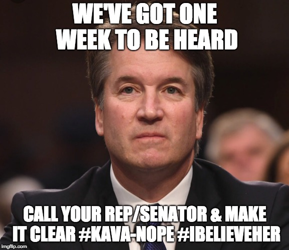 Brett Kavanaugh  | WE'VE GOT ONE WEEK TO BE HEARD; CALL YOUR REP/SENATOR & MAKE IT CLEAR #KAVA-NOPE #IBELIEVEHER | image tagged in brett kavanaugh | made w/ Imgflip meme maker