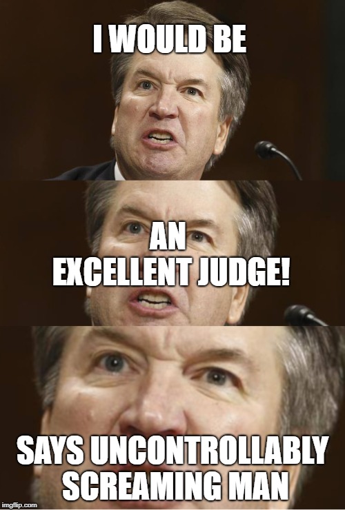 kavenaugh screaming | I WOULD BE; AN EXCELLENT JUDGE! SAYS UNCONTROLLABLY SCREAMING MAN | image tagged in kavenaugh,ford,conservative victim | made w/ Imgflip meme maker