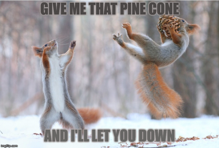 Magic | GIVE ME THAT PINE CONE; AND I'LL LET YOU DOWN | image tagged in magic | made w/ Imgflip meme maker