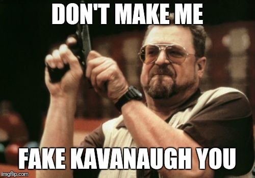 Am I The Only One Around Here Meme | DON'T MAKE ME; FAKE KAVANAUGH YOU | image tagged in memes,am i the only one around here | made w/ Imgflip meme maker