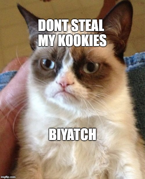 Grumpy Cat Meme | DONT STEAL MY KOOKIES; BIYATCH | image tagged in memes,grumpy cat | made w/ Imgflip meme maker