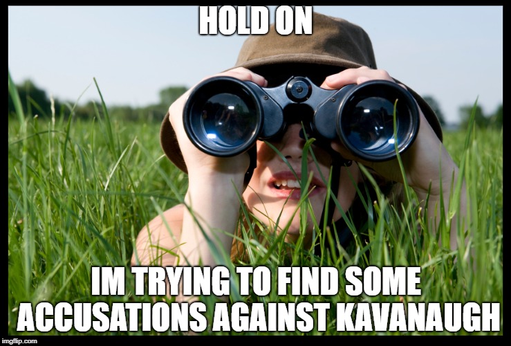 HOLD ON; IM TRYING TO FIND SOME ACCUSATIONS AGAINST KAVANAUGH | image tagged in looking at something,kavanaugh | made w/ Imgflip meme maker