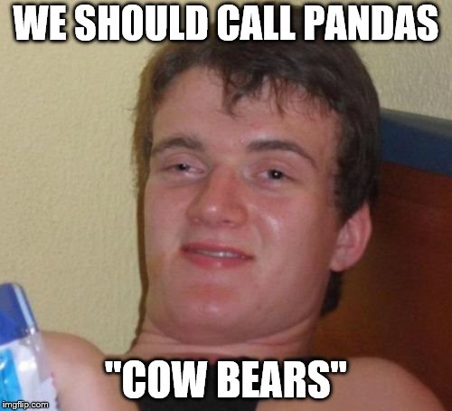 10 Guy Meme | WE SHOULD CALL PANDAS; "COW BEARS" | image tagged in memes,10 guy | made w/ Imgflip meme maker