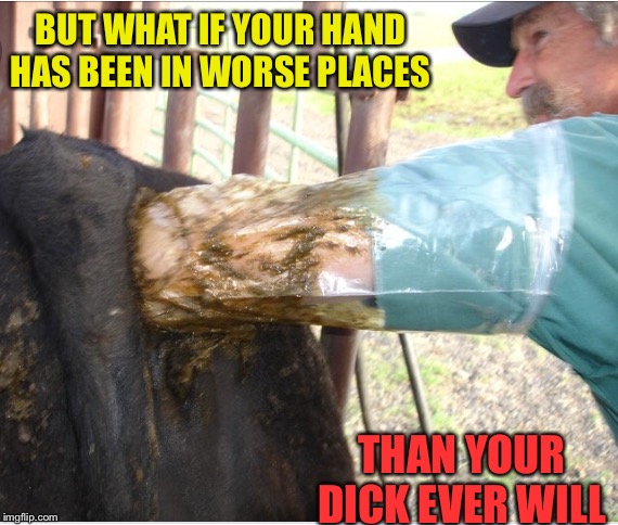 BUT WHAT IF YOUR HAND HAS BEEN IN WORSE PLACES THAN YOUR DICK EVER WILL | made w/ Imgflip meme maker