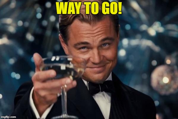 Leonardo Dicaprio Cheers Meme | WAY TO GO! | image tagged in memes,leonardo dicaprio cheers | made w/ Imgflip meme maker