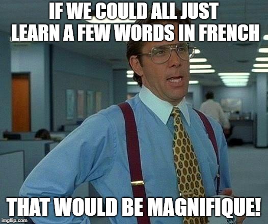 That Would Be Great | IF WE COULD ALL JUST LEARN A FEW WORDS IN FRENCH; THAT WOULD BE MAGNIFIQUE! | image tagged in memes,that would be great | made w/ Imgflip meme maker