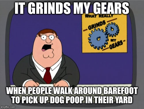 Peter Griffin News | IT GRINDS MY GEARS; WHEN PEOPLE WALK AROUND BAREFOOT TO PICK UP DOG POOP IN THEIR YARD | image tagged in memes,peter griffin news | made w/ Imgflip meme maker