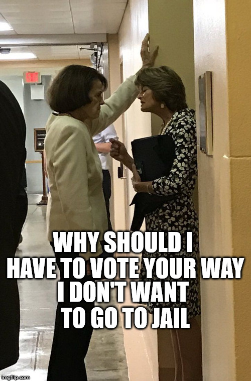 Feinstein hallway mad | WHY SHOULD I HAVE TO VOTE YOUR WAY; I DON'T WANT TO GO TO JAIL | image tagged in feinstein hallway mad | made w/ Imgflip meme maker