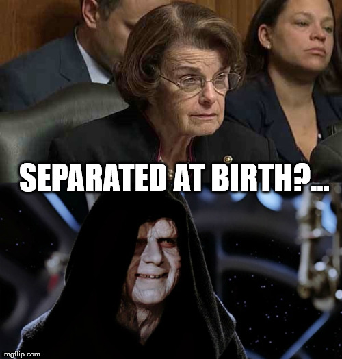 Separated at Birth? | SEPARATED AT BIRTH?... | image tagged in feinstein star wars | made w/ Imgflip meme maker