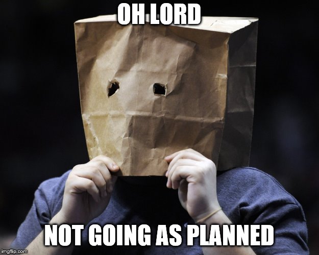 bag over head | OH LORD; NOT GOING AS PLANNED | image tagged in bag over head | made w/ Imgflip meme maker