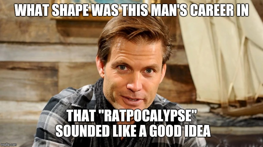 It's not that the acting in the movie is bad... it's so very much worse than bad | WHAT SHAPE WAS THIS MAN'S CAREER IN; THAT "RATPOCALYPSE" SOUNDED LIKE A GOOD IDEA | image tagged in rats,movie,terrible | made w/ Imgflip meme maker