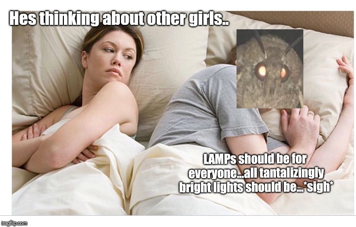Thinking of other girls | Hes thinking about other girls.. LAMPs should be for everyone...all tantalizingly bright lights should be...*sigh* | image tagged in thinking of other girls | made w/ Imgflip meme maker