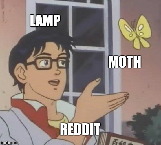 Is This A Pigeon | LAMP; MOTH; REDDIT | image tagged in memes,is this a pigeon | made w/ Imgflip meme maker