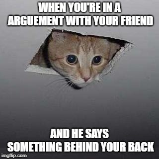 Ceiling Cat | WHEN YOU'RE IN A ARGUEMENT WITH YOUR FRIEND; AND HE SAYS SOMETHING BEHIND YOUR BACK | image tagged in memes,ceiling cat | made w/ Imgflip meme maker