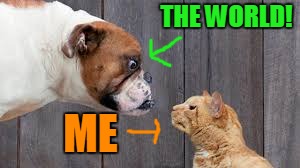 The uphill, never ending  battle! | THE WORLD! ME | image tagged in dog cat staredown,watch the world burn,the daily struggle,crazy cat | made w/ Imgflip meme maker