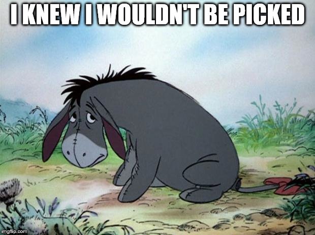 eeyore | I KNEW I WOULDN'T BE PICKED | image tagged in eeyore | made w/ Imgflip meme maker