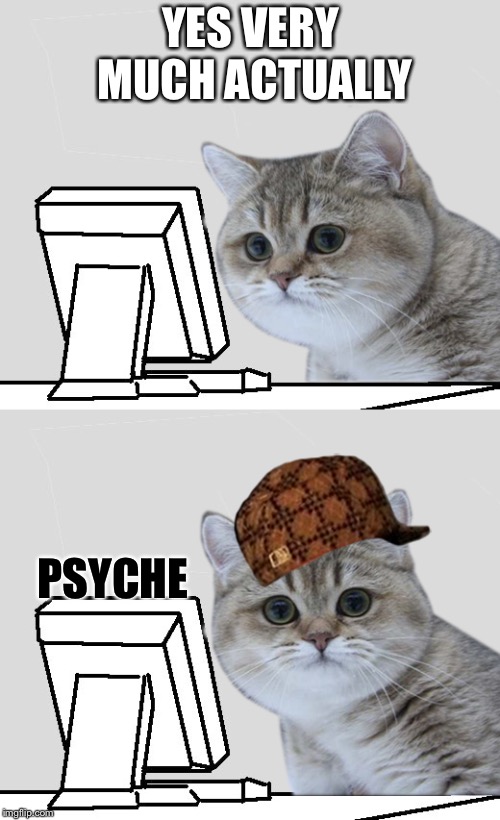 Wut?Hai,Nope! | YES VERY MUCH ACTUALLY; PSYCHE | image tagged in scumbag,wut?hai nope! | made w/ Imgflip meme maker