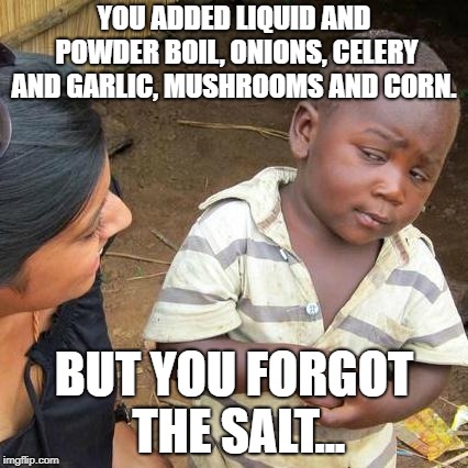 Third World Skeptical Kid Meme | YOU ADDED LIQUID AND POWDER BOIL, ONIONS, CELERY AND GARLIC, MUSHROOMS AND CORN. BUT YOU FORGOT THE SALT... | image tagged in memes,third world skeptical kid | made w/ Imgflip meme maker