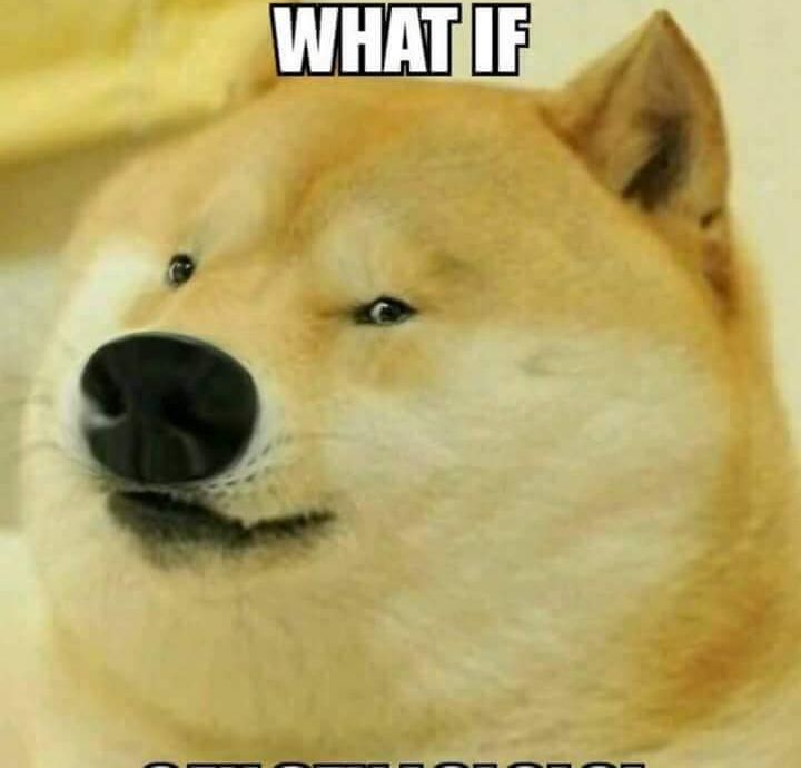 High Quality Doge - what if Blank Meme Template