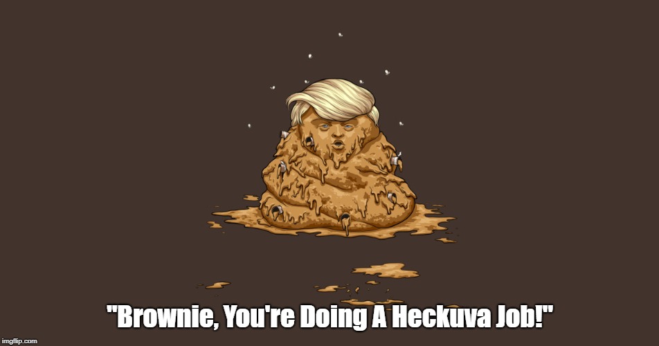 "Brownie, You're Doing A Heckuva Job!" | "Brownie, You're Doing A Heckuva Job!" | image tagged in brownie,trump,deplorable donald,despicable donald,devious donald,dishonorable donald | made w/ Imgflip meme maker