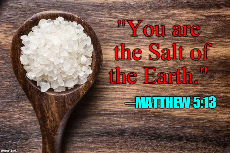 There are certain ones you will meet in Life know them by this | "You are the Salt of the Earth."; ─MATTHEW 5:13 | image tagged in vince vance,salt of the earth,bible verse,holy bible,memes,matthew mark luke john | made w/ Imgflip meme maker