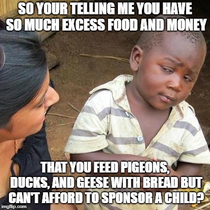 Third World Skeptical Kid | SO YOUR TELLING ME YOU HAVE SO MUCH EXCESS FOOD AND MONEY; THAT YOU FEED PIGEONS, DUCKS, AND GEESE WITH BREAD BUT CAN'T AFFORD TO SPONSOR A CHILD? | image tagged in memes,third world skeptical kid | made w/ Imgflip meme maker