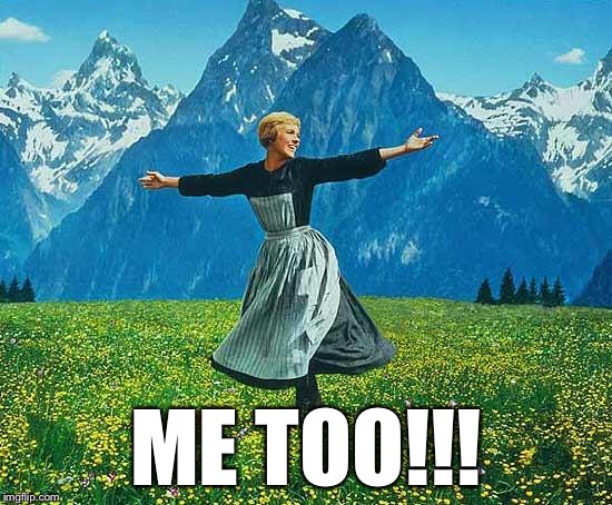 the sound of music | ME TOO!!! | image tagged in the sound of music | made w/ Imgflip meme maker