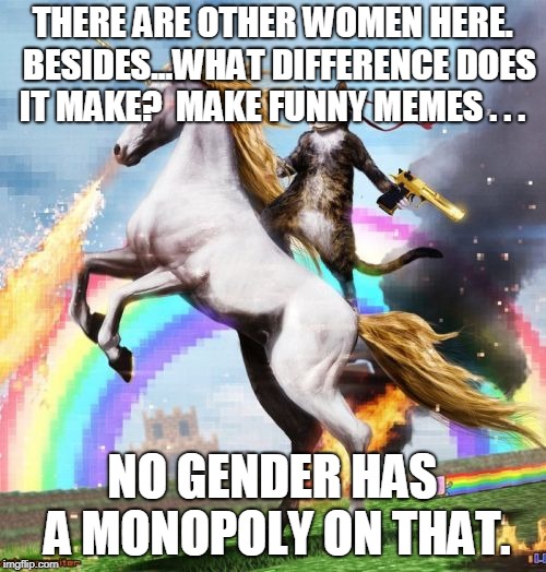Welcome To The Internets Meme | THERE ARE OTHER WOMEN HERE.  BESIDES...WHAT DIFFERENCE DOES IT MAKE?  MAKE FUNNY MEMES . . . NO GENDER HAS A MONOPOLY ON THAT. | image tagged in memes,welcome to the internets | made w/ Imgflip meme maker